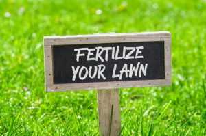Lawn Fertilization