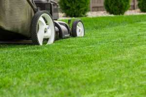 A Lawn Being Mowed