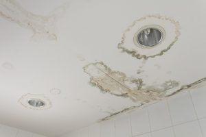 Water Damage Due to Molds