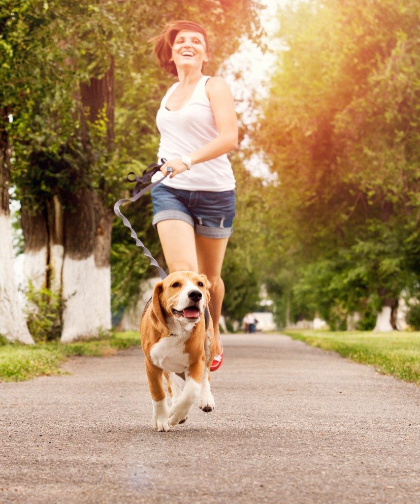 Happy young woman walking with her beagle dog